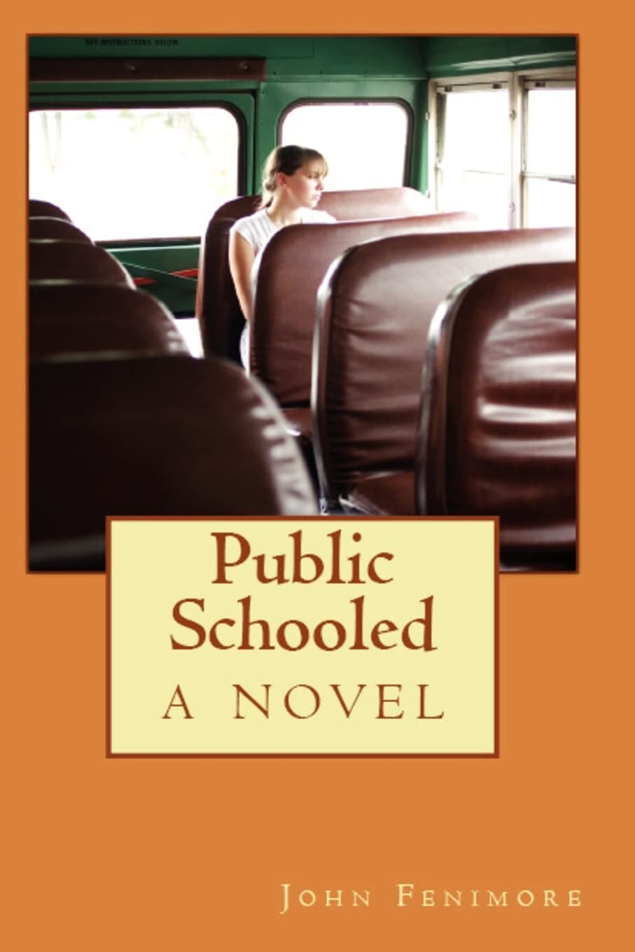 Public Schooled, A Novel,Used