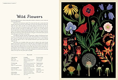 Botanicum: Welcome to the Museum,New