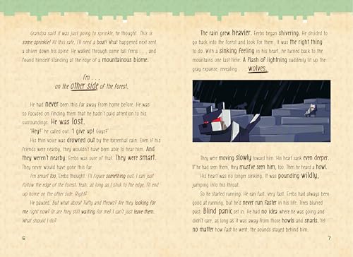 Tales Of An 8Bit Kitten: Lost In The Nether: An Unofficial Minecraft Adventure (Volume 1),Used
