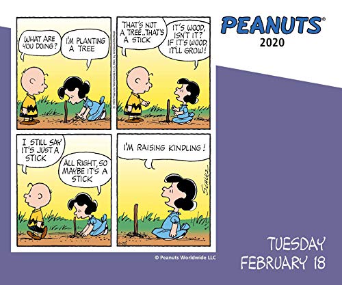 Peanuts 2020 DaytoDay Calendar,Used