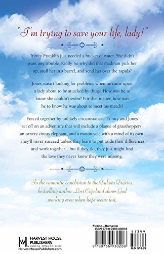 Under the Summer Sky (The Dakota Diaries),Used
