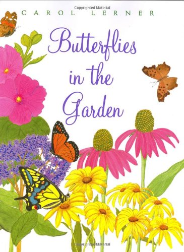 Butterflies In The Garden,Used