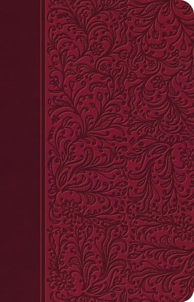 Biblia Clsica Edicin Especial: Rubi (Spanish Edition),New