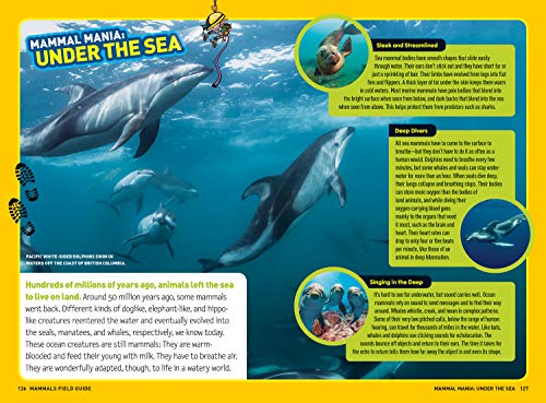 Ultimate Explorer Field Guide: Mammals,Used