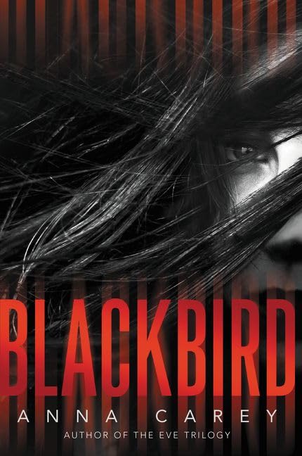 Blackbird (Blackbird, 1),Used