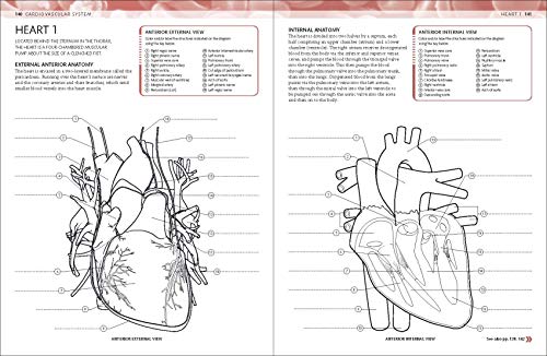 The Human Body Coloring Book: The Ultimate Anatomy Study Guide (Dk Human Body Guides),New