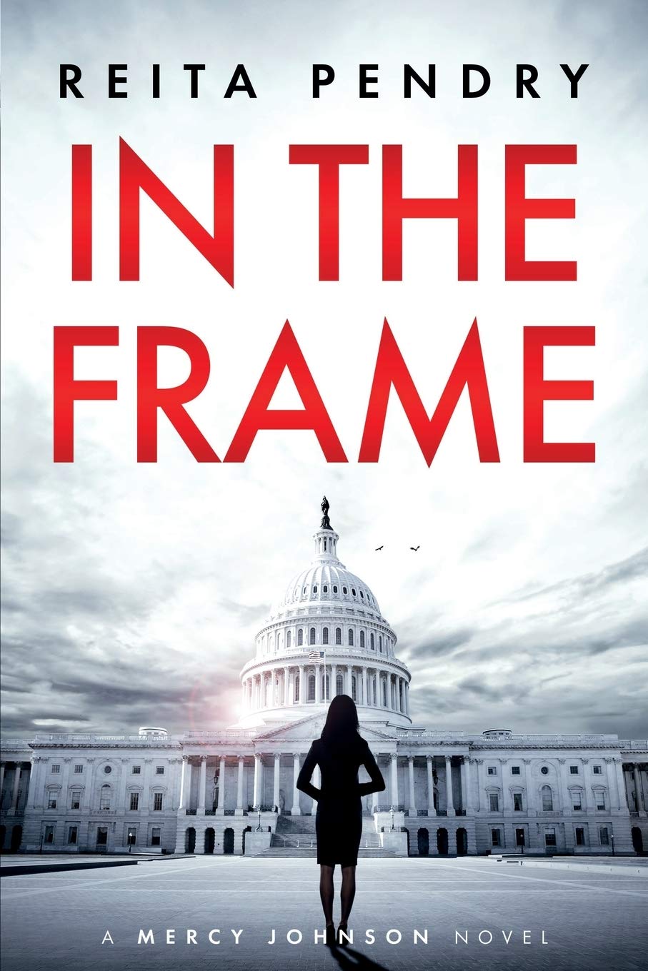 In the Frame: A Mercy Johnson Novel,Used