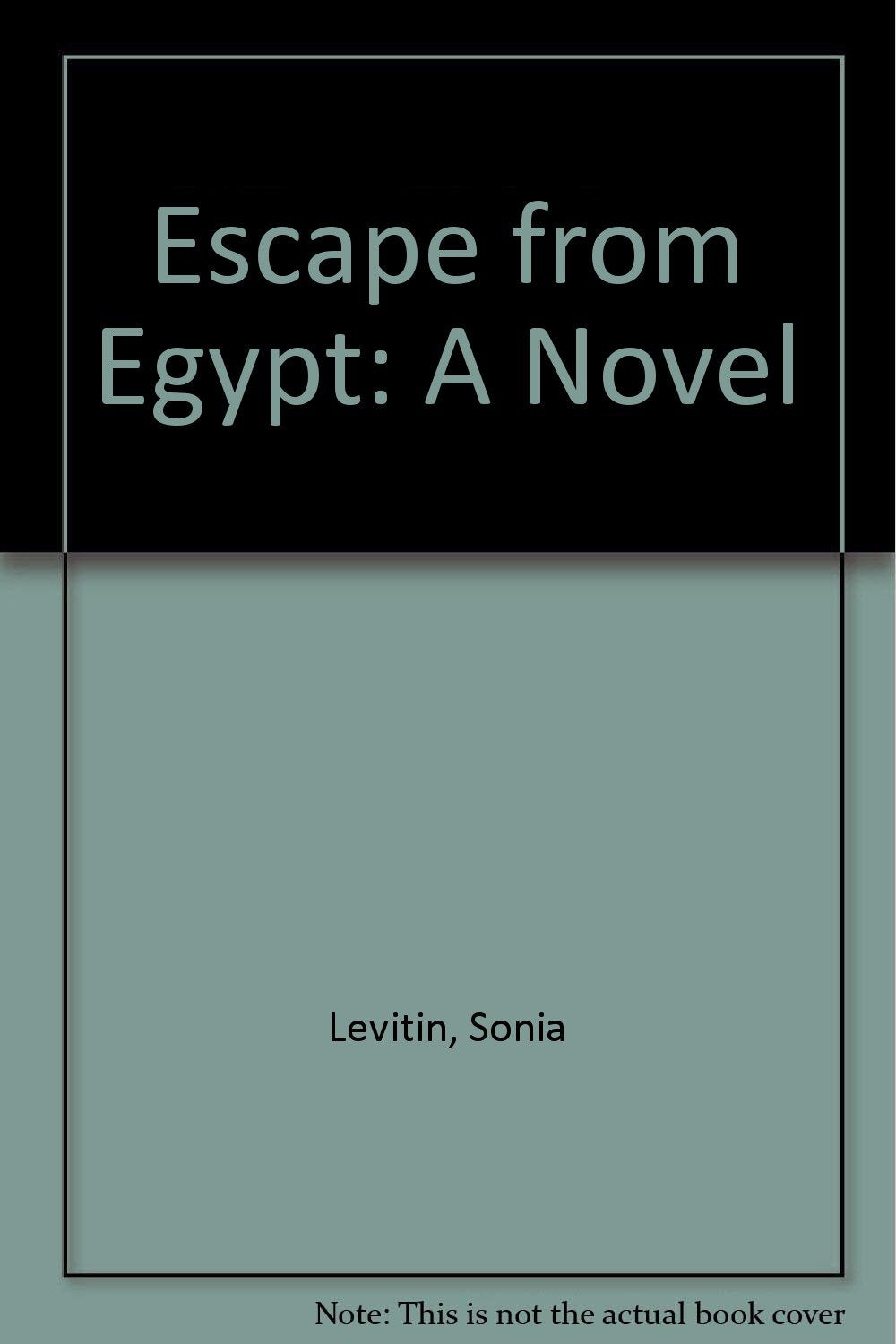 Escape from Egypt: A Novel,Used