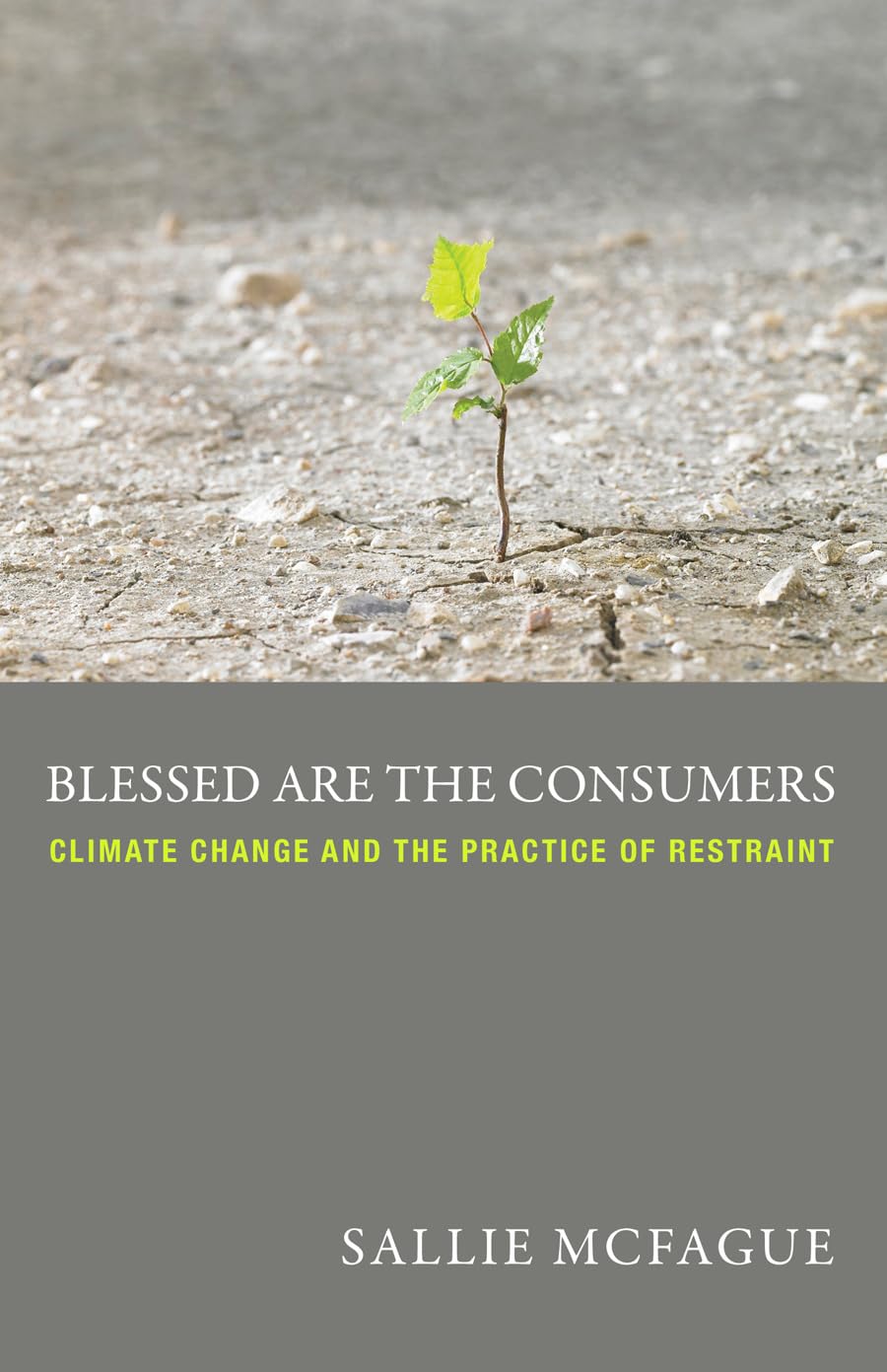 Blessed are the Consumers,Used