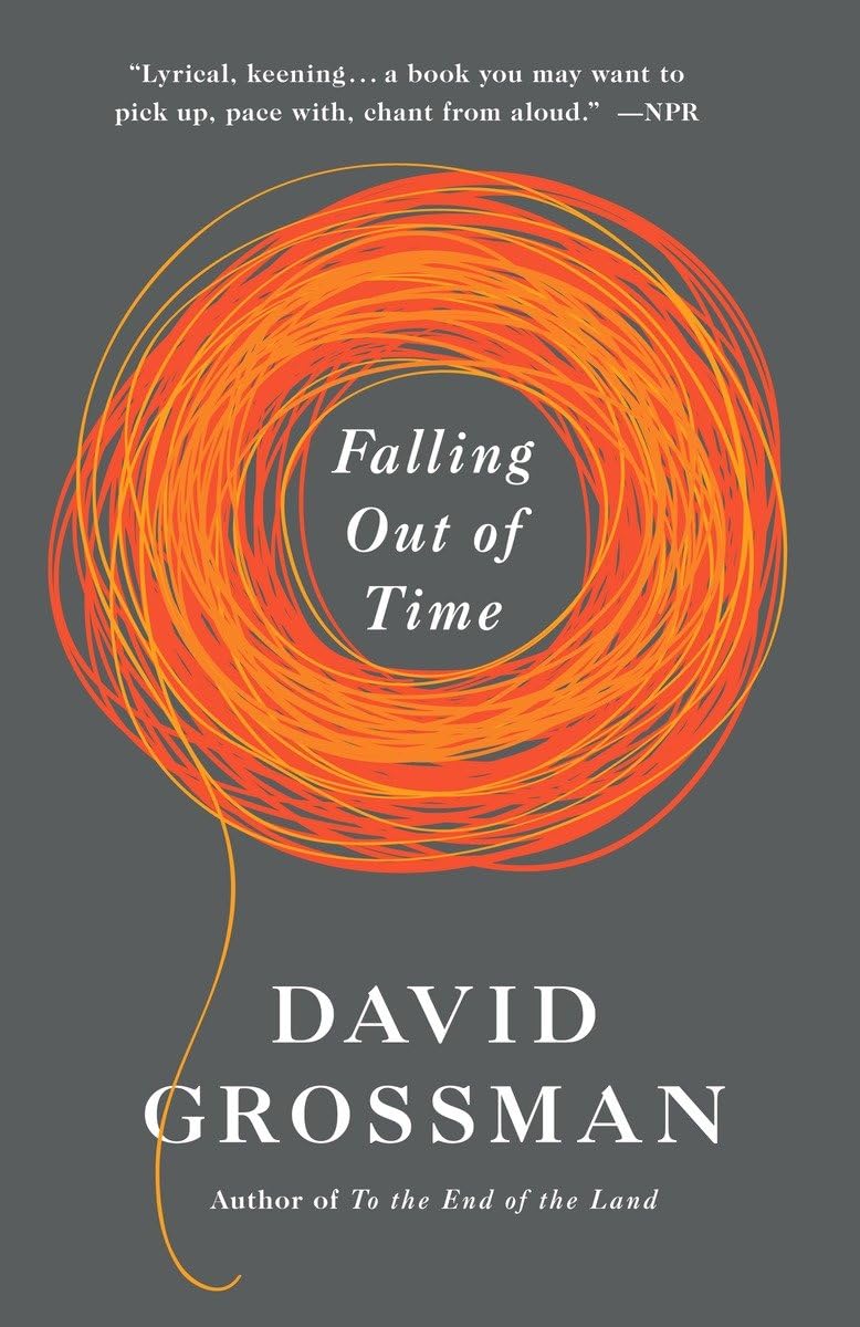 Falling Out of Time (Vintage International),Used