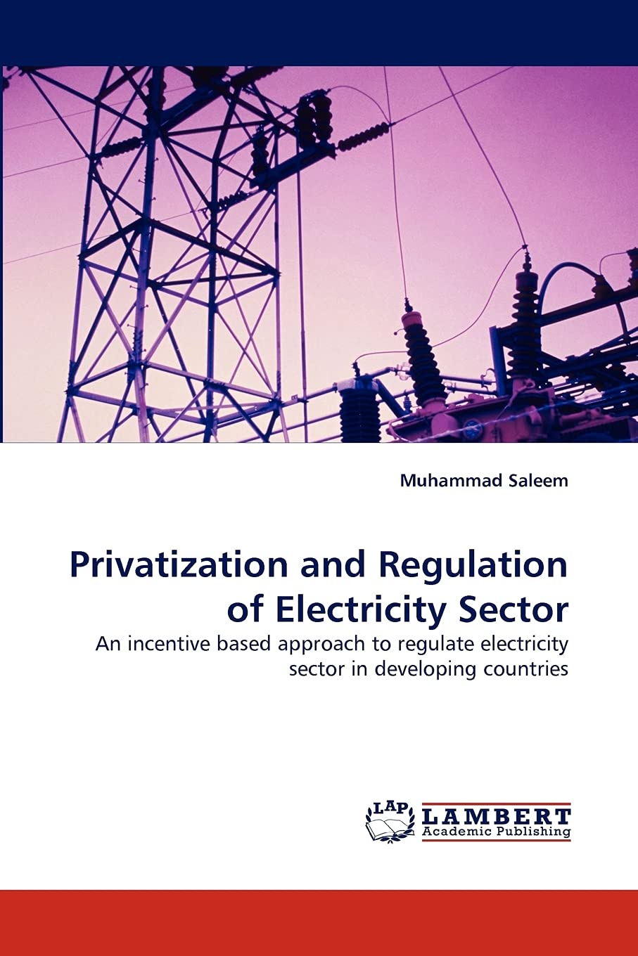 Privatization and Regulation of Electricity Sector: An incentive based approach to regulate electricity sector in developing cou,Used