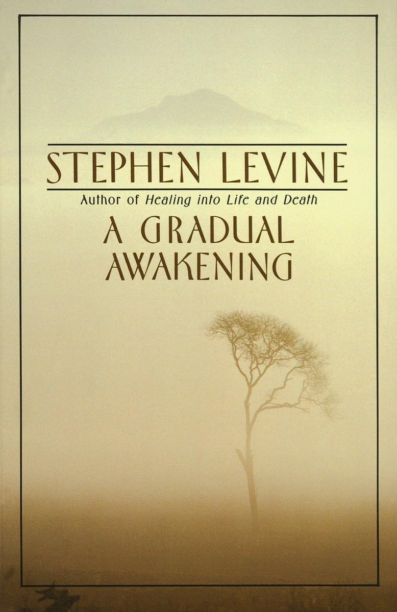 A Gradual Awakening,Used