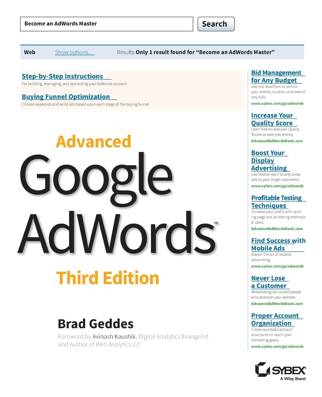 Advanced Google AdWords,Used