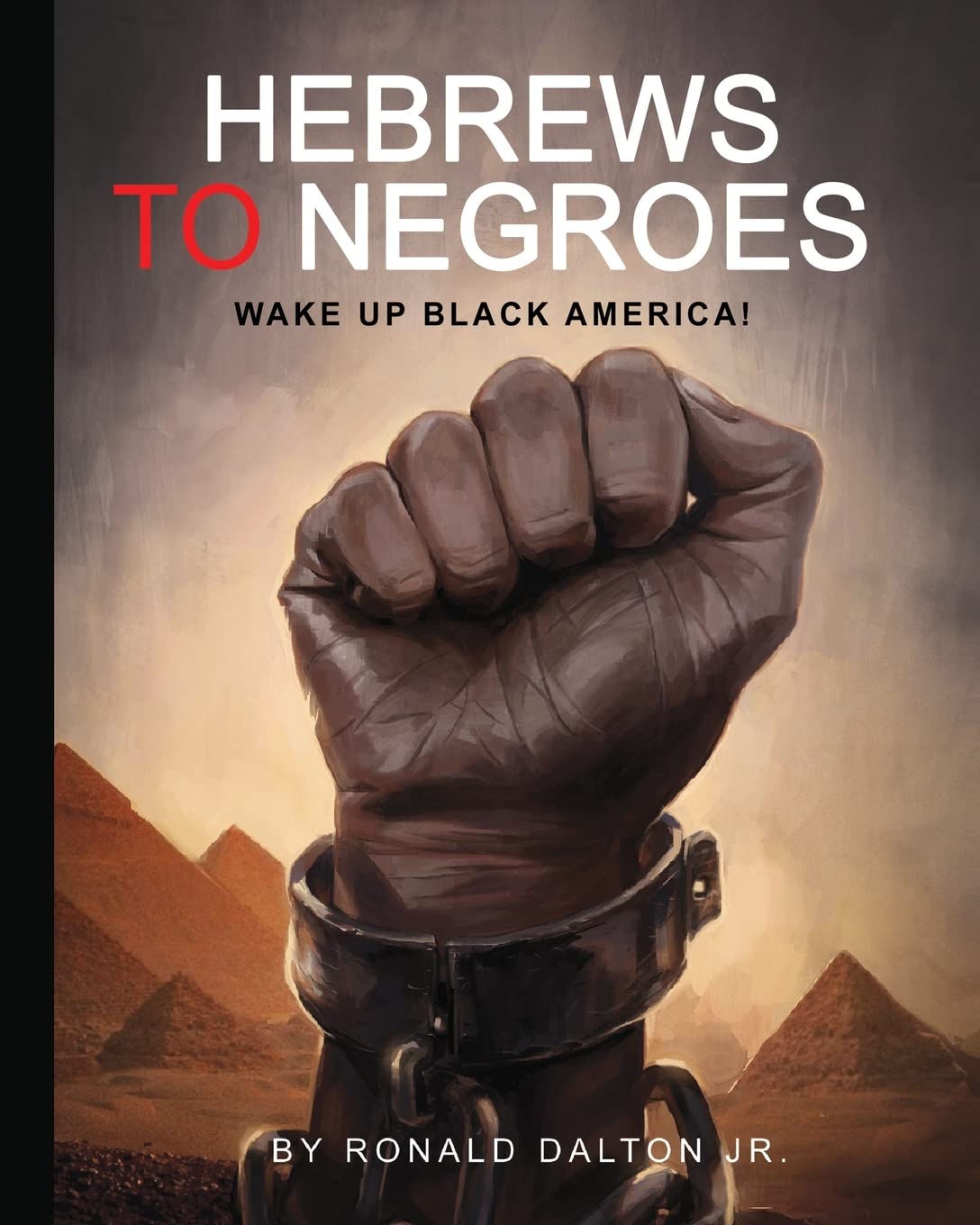 Hebrews To Negroes: Wake Up Black America!,New
