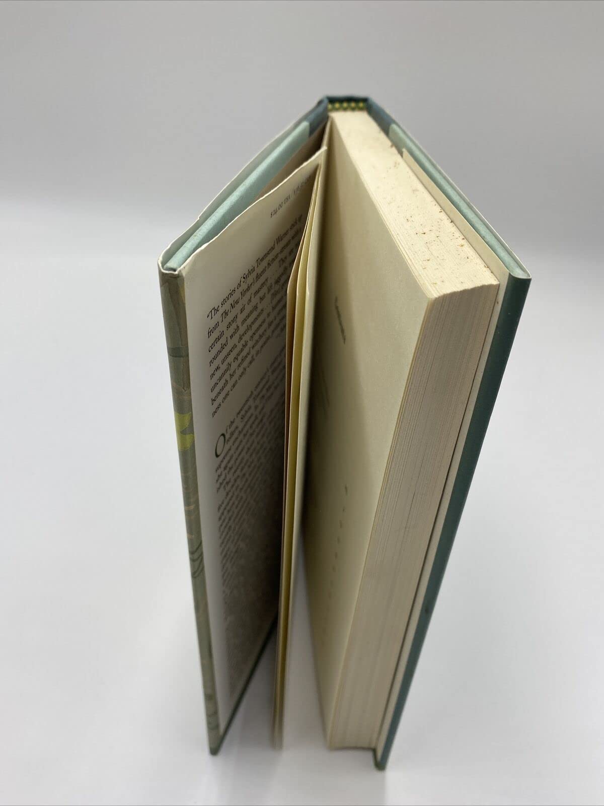 The Music at Long Verney: Short Stories,New