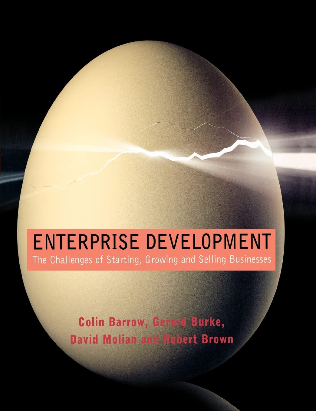 Enterprise Development: The Challenges of Starting, Growing and Selling Businesses,Used