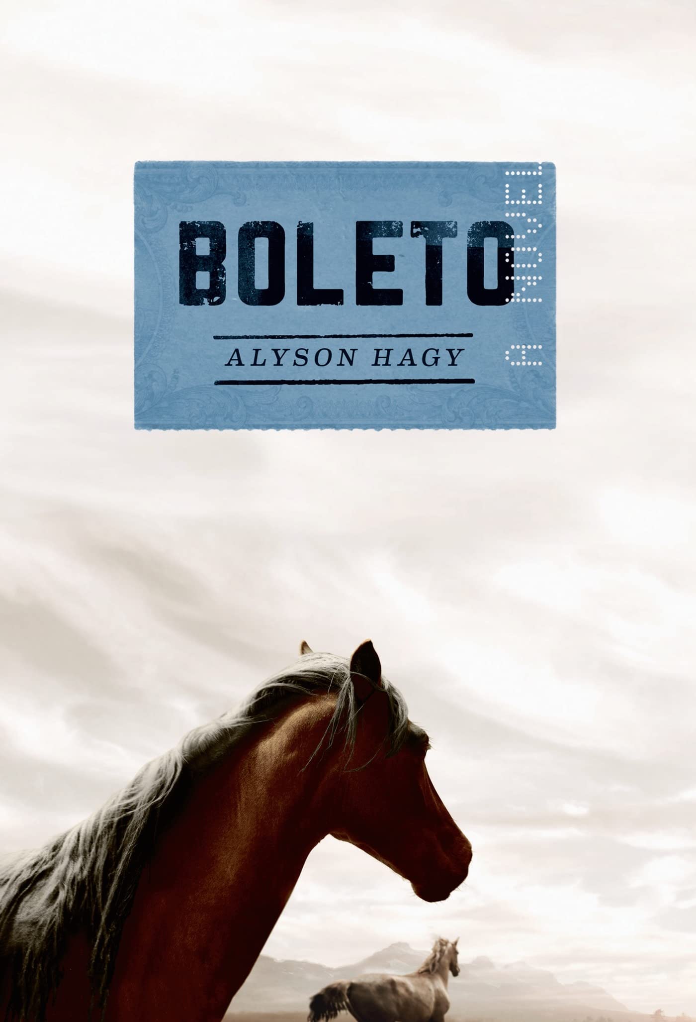 Boleto: A Novel,Used
