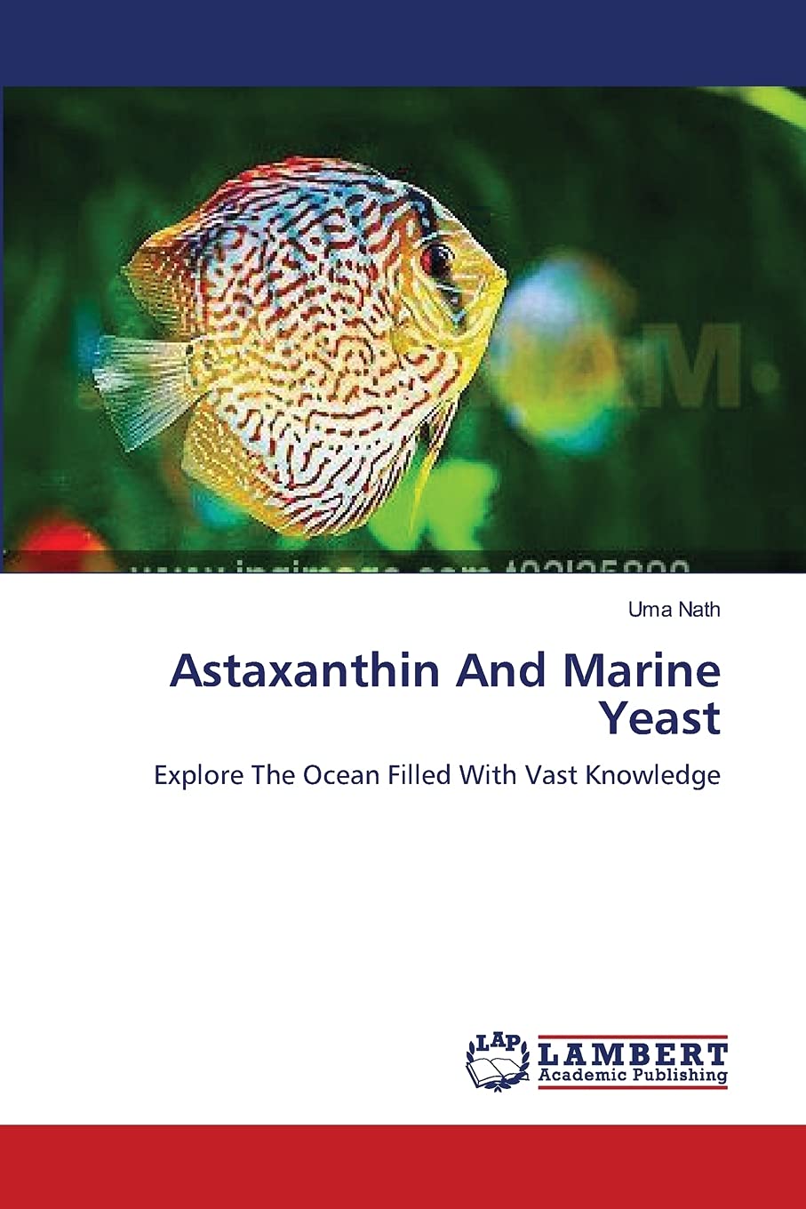Astaxanthin And Marine Yeast: Explore The Ocean Filled With Vast Knowledge,Used