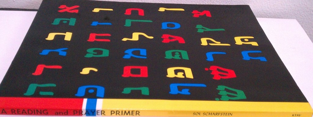 A Reading And Prayer Primer (Hebrew Edition),Used