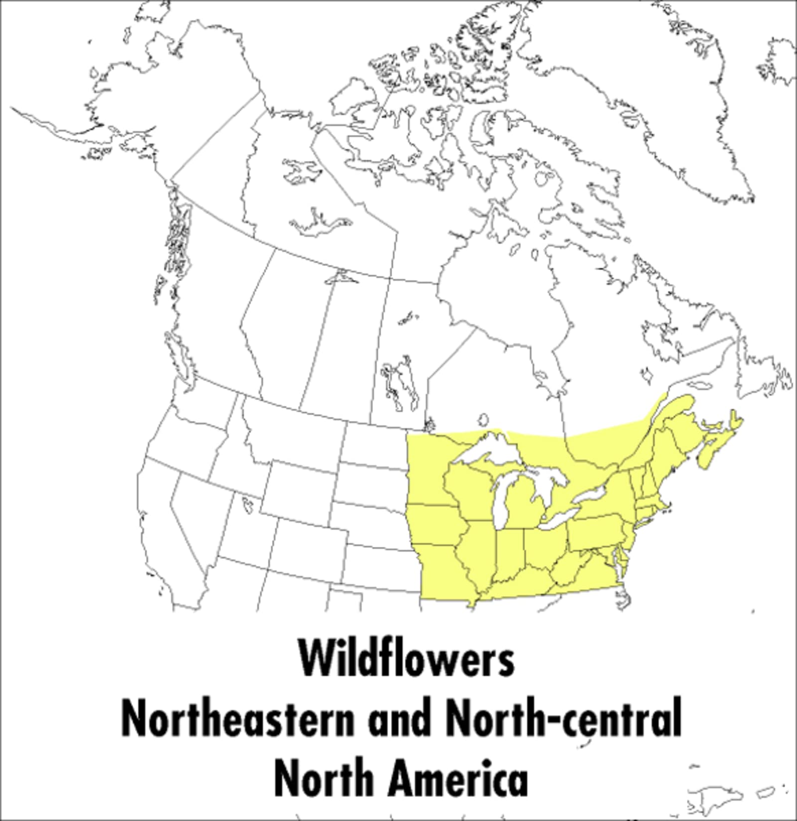 A Peterson Field Guide To Wildflowers: Northeastern and Northcentral North America (Peterson Field Guides),Used