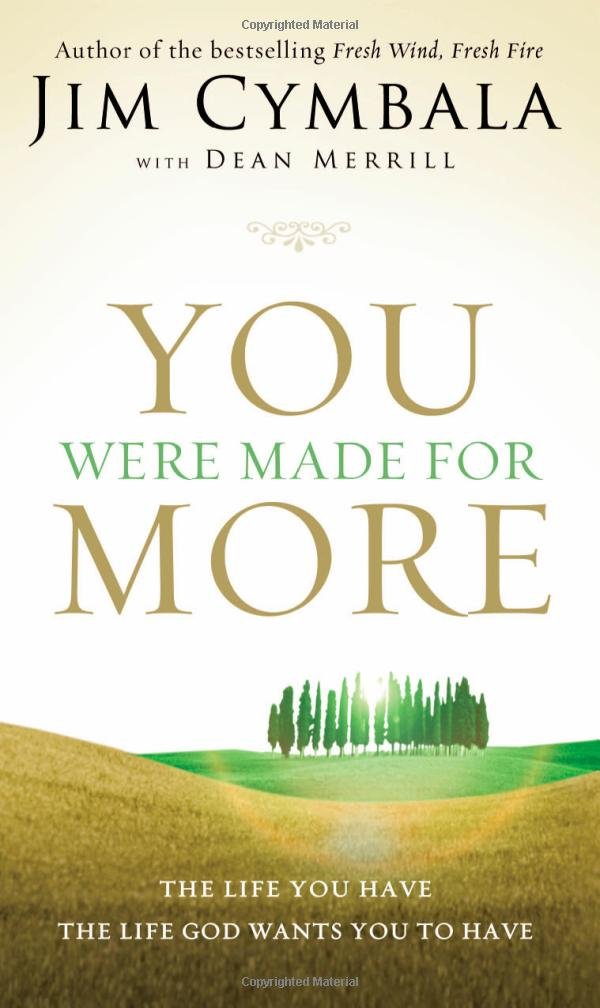 You Were Made for More: The Life You Have, the Life God Wants You to Have,Used