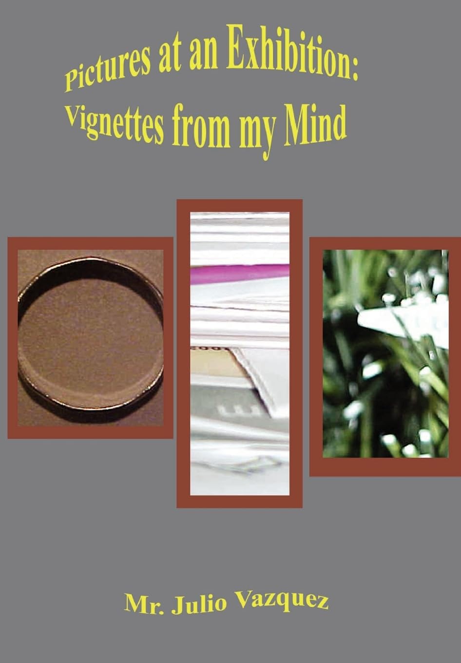 Pictures At An Exhibition: Vignettes From My Mind,New