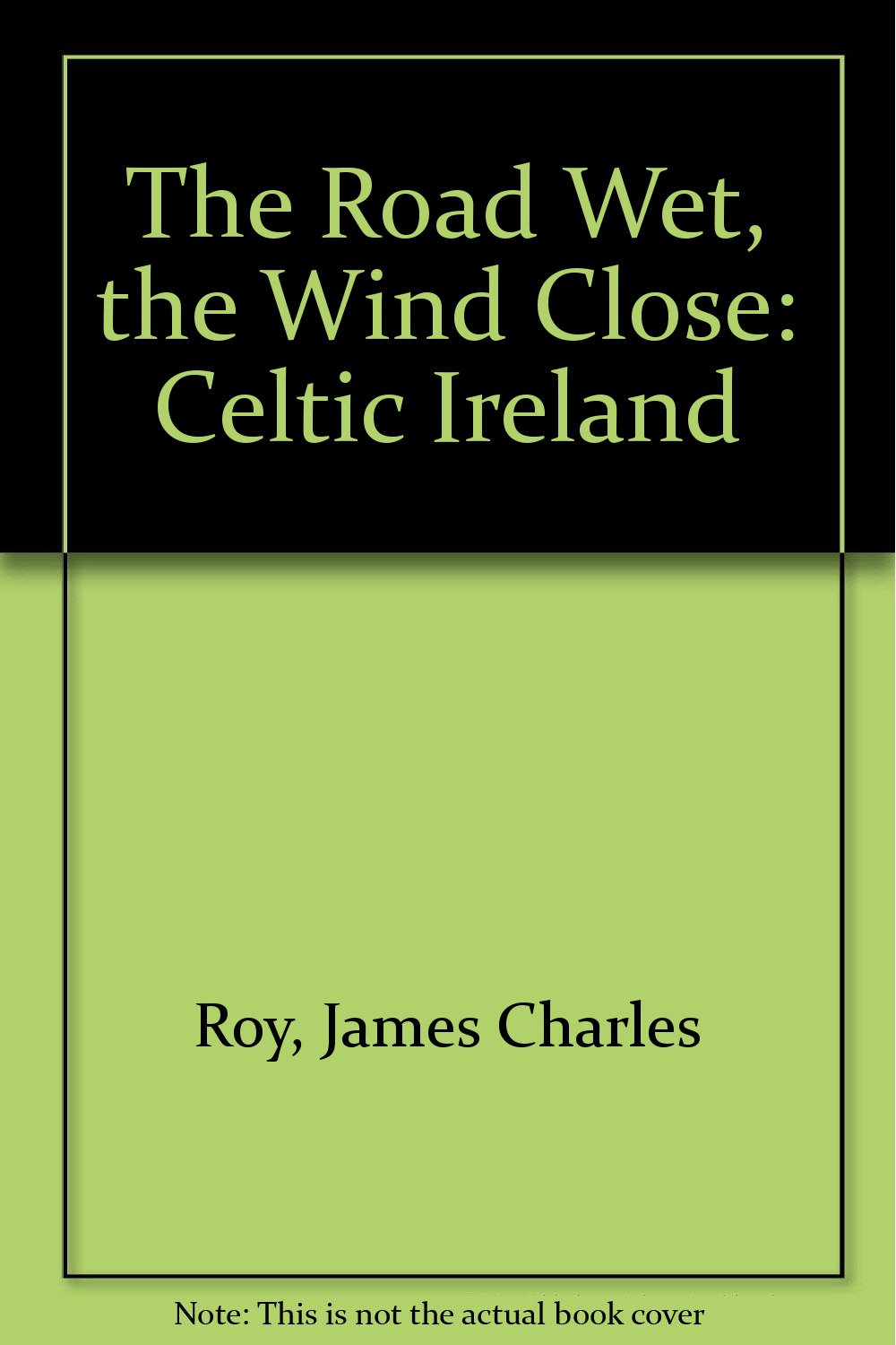 The Road Wet, the Wind Close: Celtic Ireland,Used