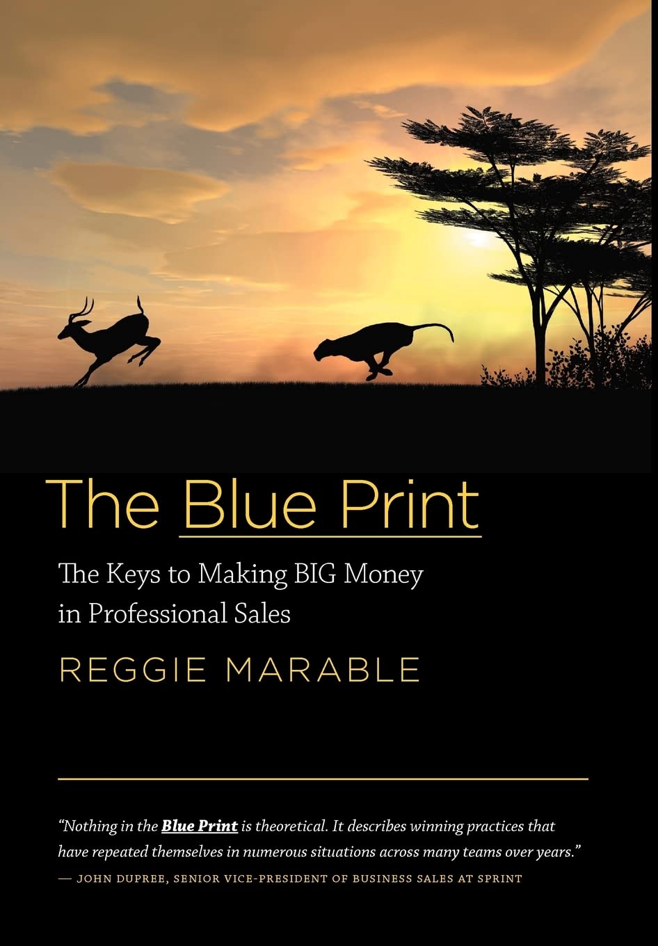 The Blue Print: The Keys To Making Big Money In Professional Sales,Used