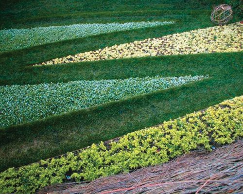 Andrea Cochran: Landscapes,Used