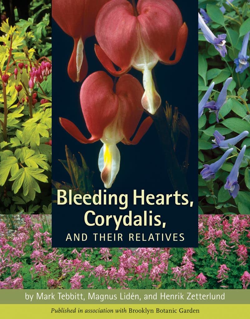 Bleeding Hearts, Corydalis, and Their Relatives,New