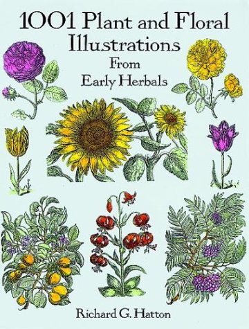 1001 Plant and Floral Illustrations: From Early Herbals (Dover Pictorial Archive Series),Used