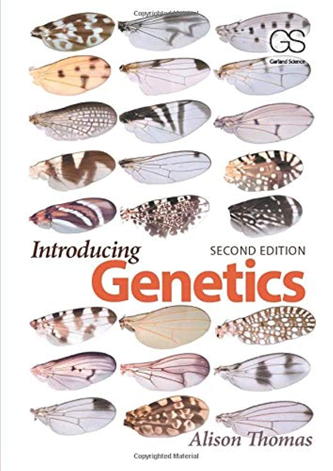 Introducing Genetics,Used