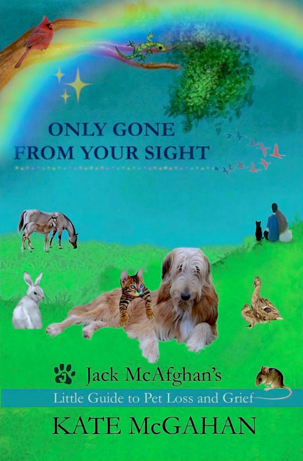 Only Gone From Your Sight: Jack McAfghan's Little Guide to Pet Loss and Grief (Jack McAfghan Pet Loss Series),Used