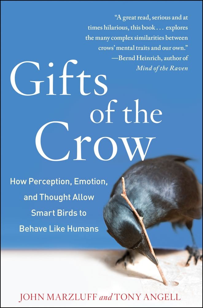 Gifts Of The Crow: How Perception, Emotion, And Thought Allow Smart Birds To Behave Like Humans