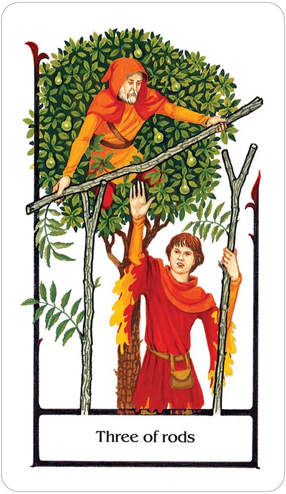 Tarot Of The Old Path Deck,New