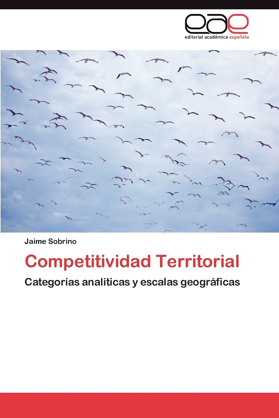 Competitividad Territorial: Categoras analticas y escalas geogrficas (Spanish Edition),Used