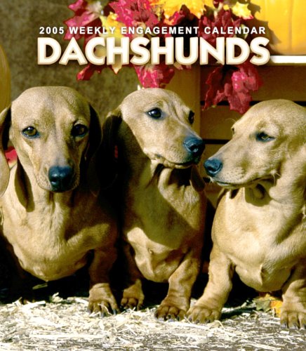 Dachshunds Weekly 2006 Calendar,Used