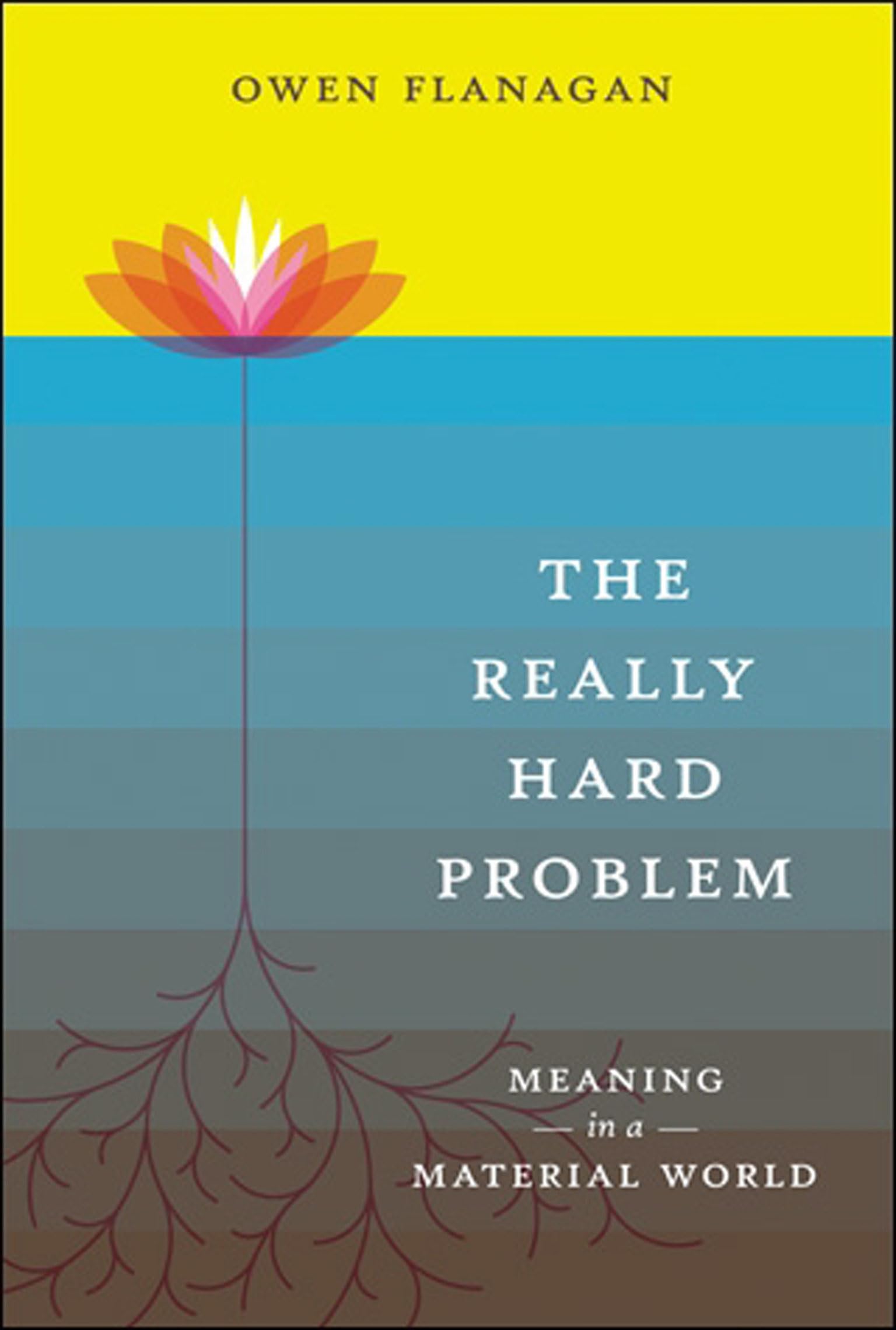 The Really Hard Problem: Meaning in a Material World (Bradford Books),Used