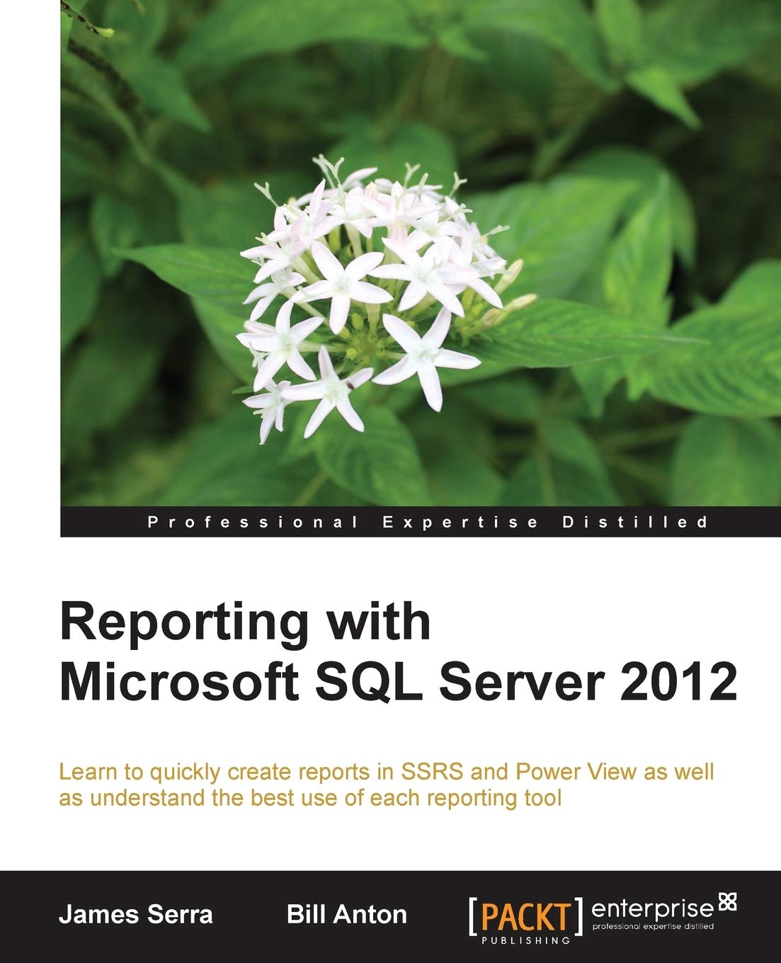 Reporting With Microsoft SQL Server 2012,Used