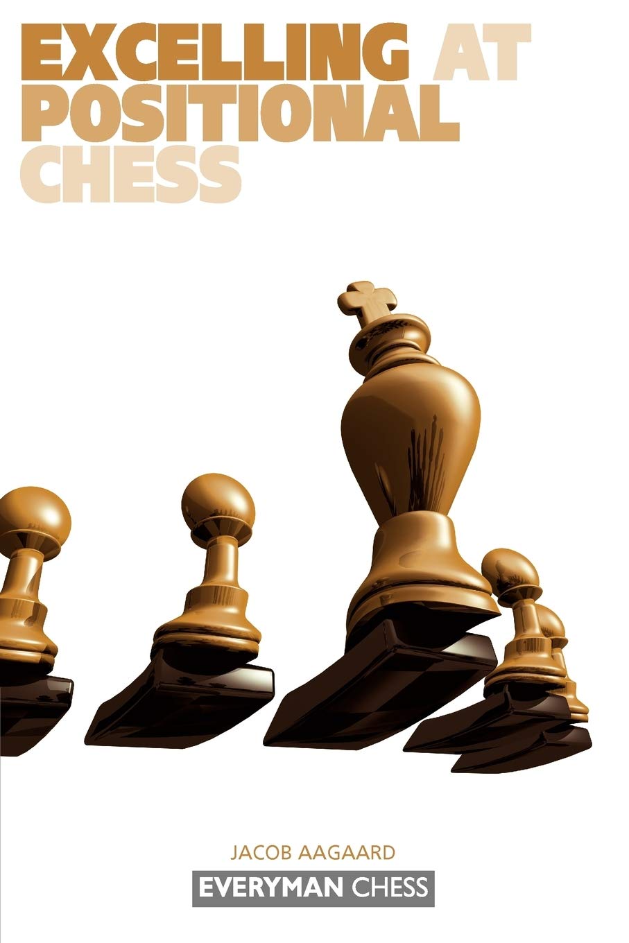 Excelling at Positional Chess (Everyman Chess),Used