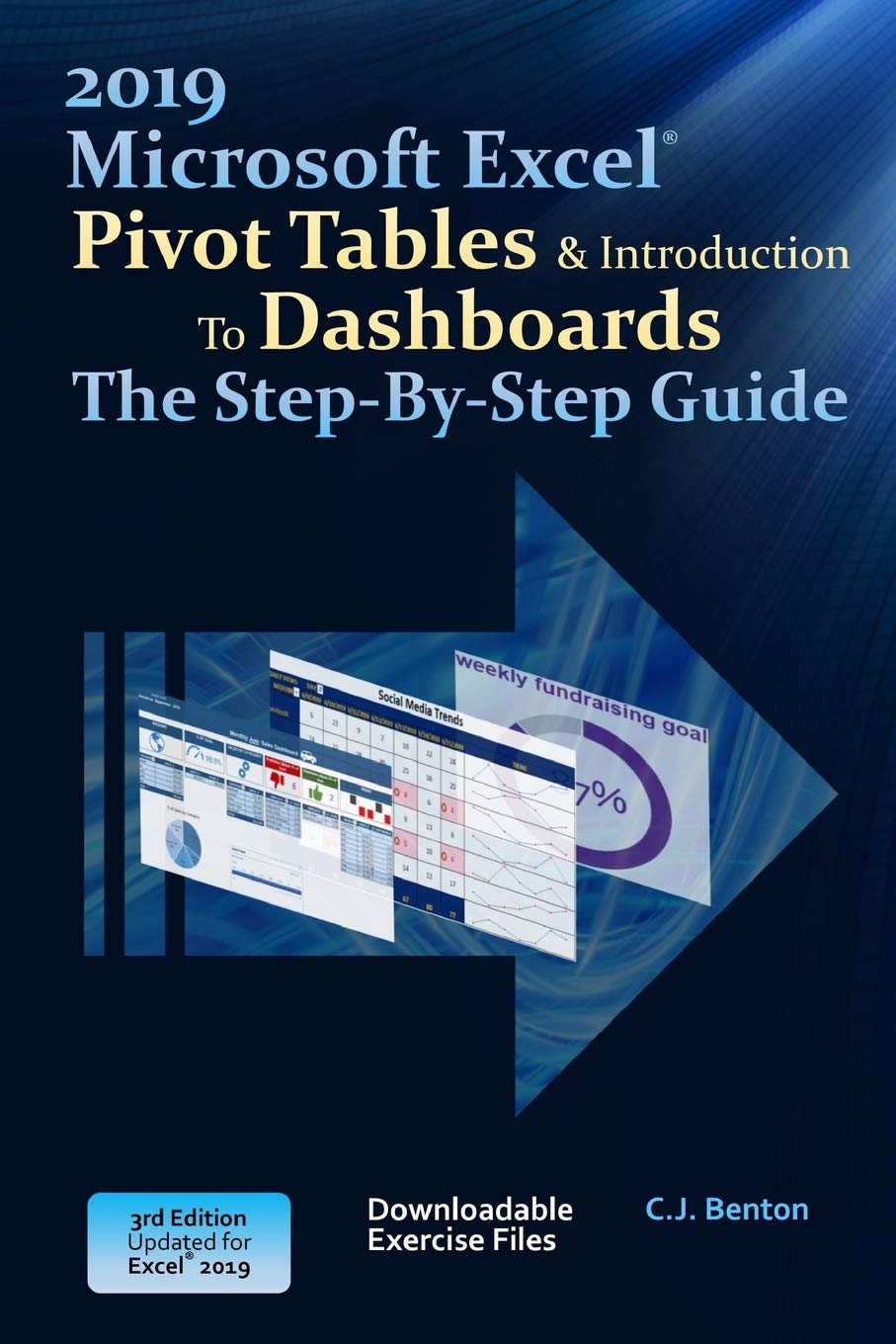 Excel 2019 Pivot Tables & Introduction To Dashboards The StepByStep Guide (The Excel 2019 StepByStep Series),Used