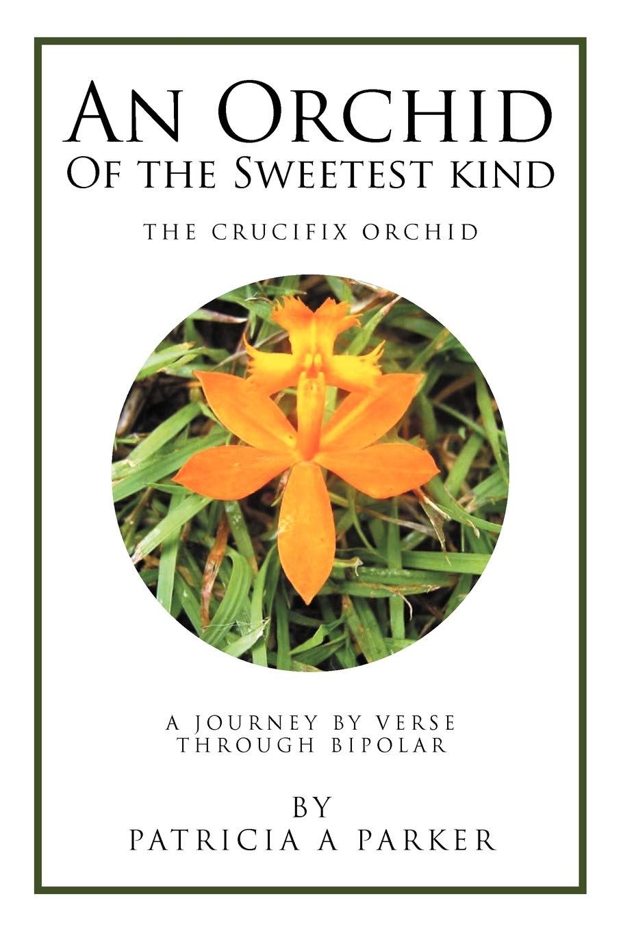 An Orchid Of The Sweetest Kind: A Journey By Verse Through Bipolar,Used
