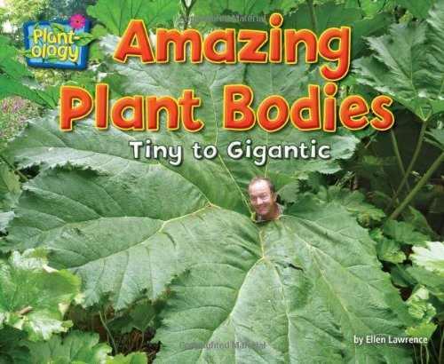 Amazing Plant Bodies: Tiny to Gigantic (PlantOlogy),Used