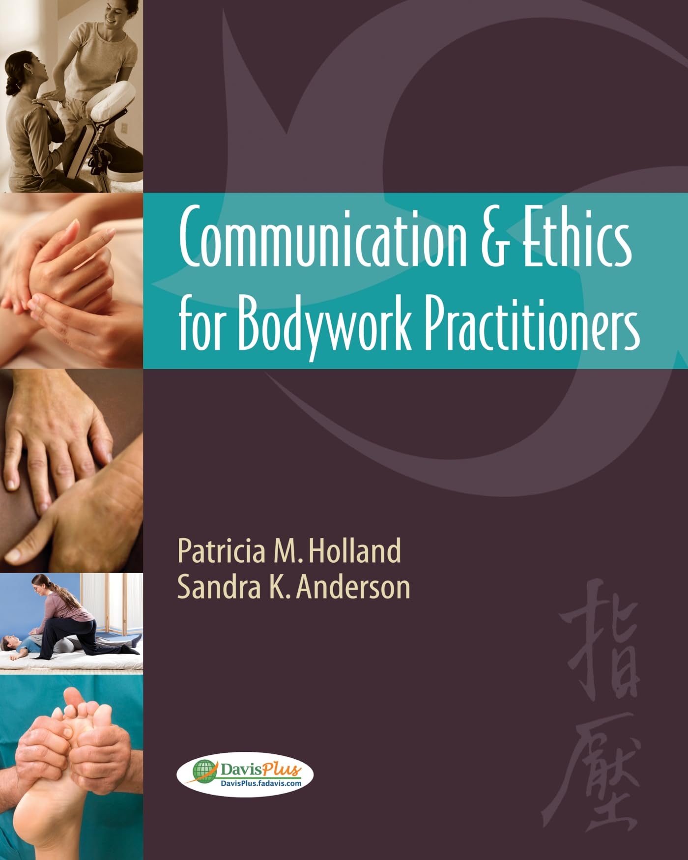 Communication & Ethics For Bodywork Practitioners,Used