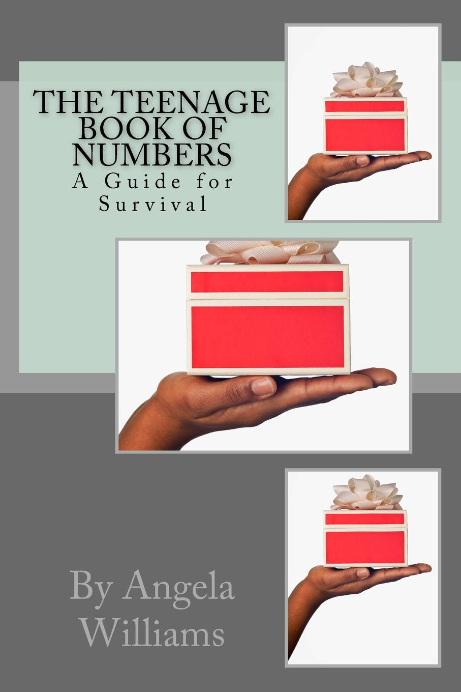 The Teenage Book of NUMBERS: A Guide for Survival,Used