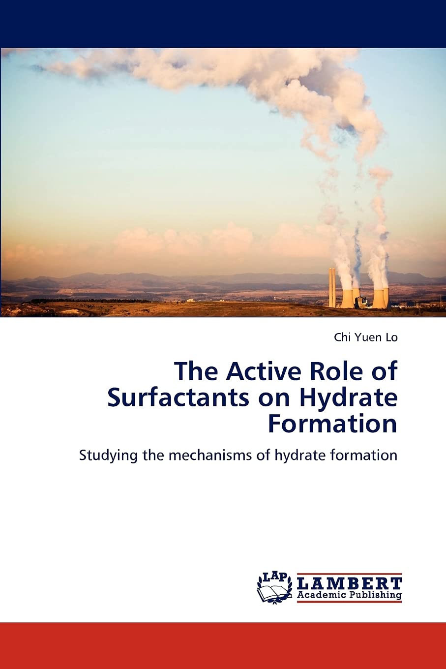 The Active Role of Surfactants on Hydrate Formation: Studying the mechanisms of hydrate formation,Used