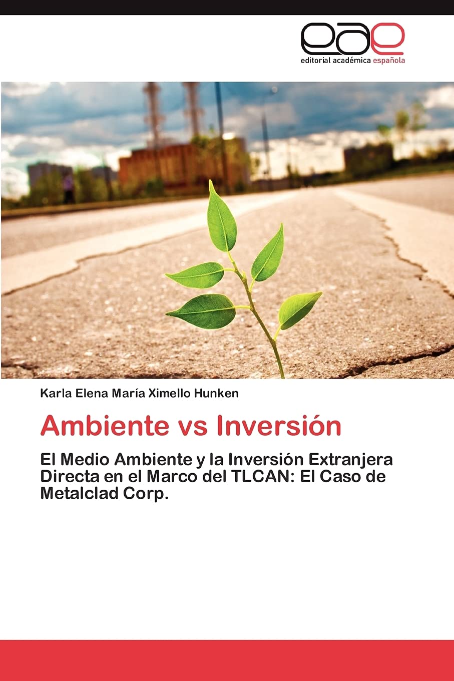 Ambiente vs Inversin (Spanish Edition),Used