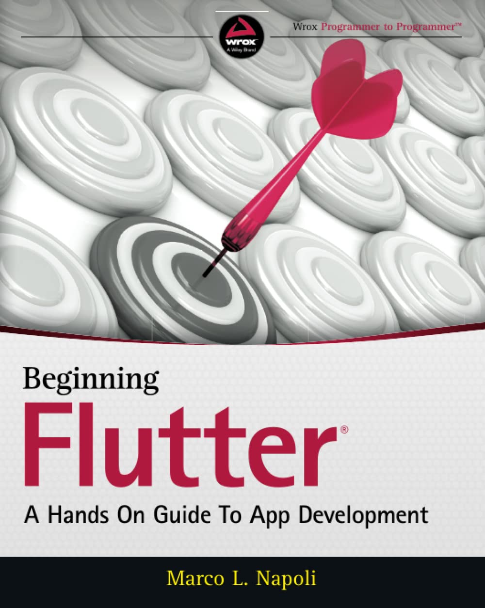 Beginning Flutter: A Hands On Guide to App Development,Used