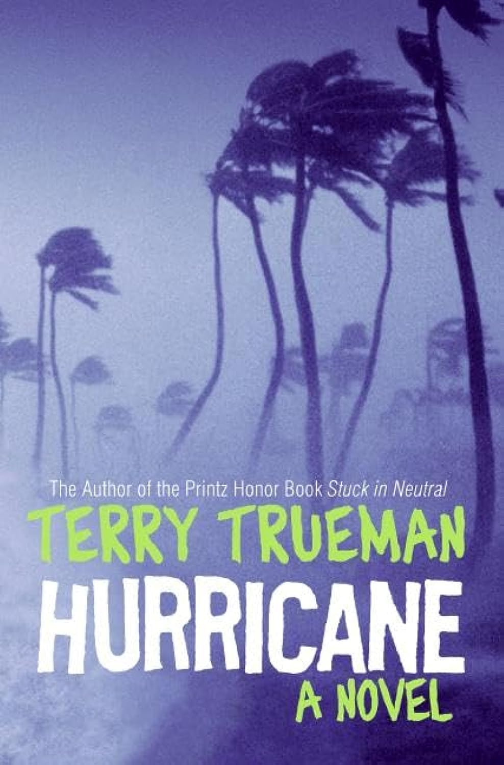 Hurricane: A Novel,New