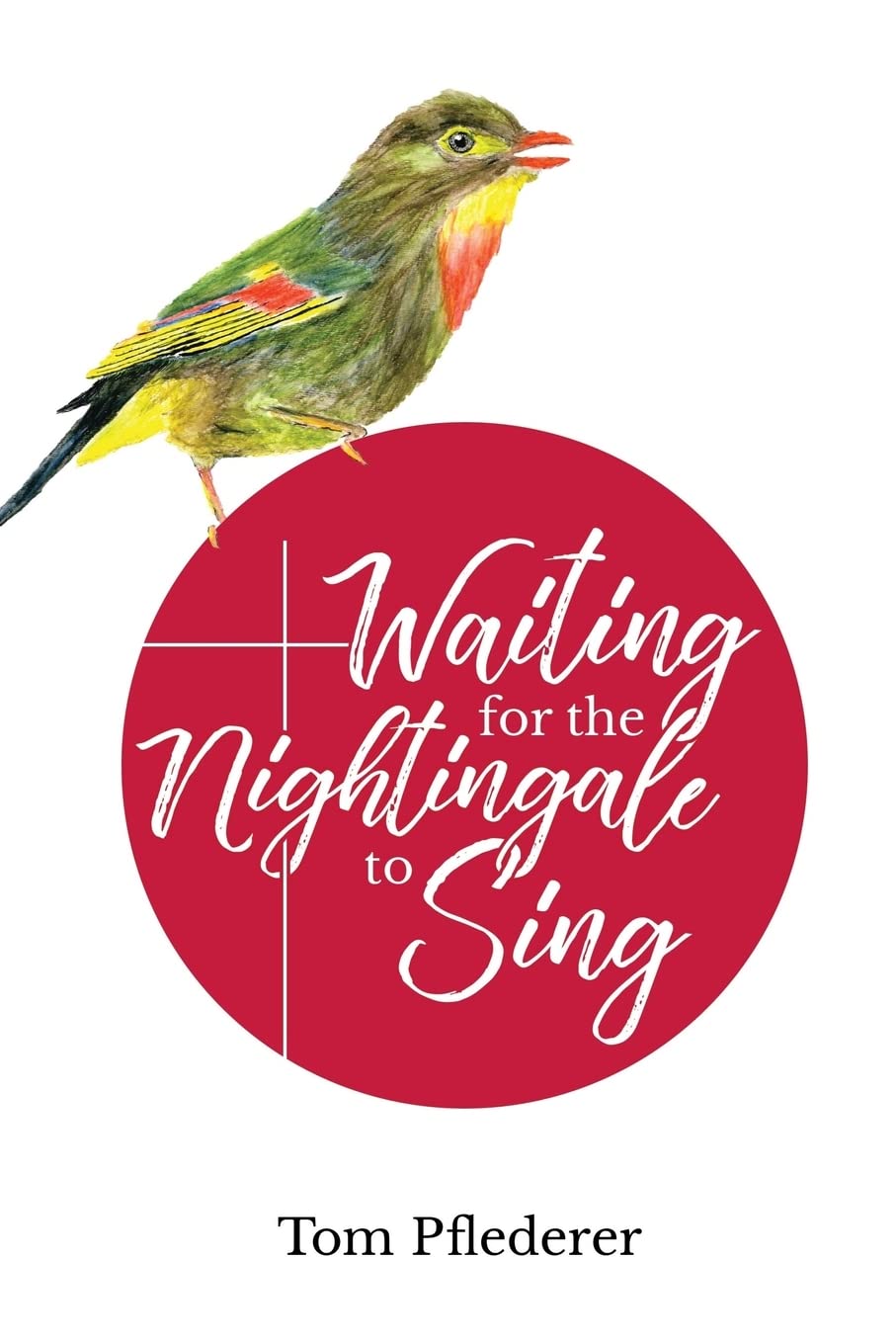 Waiting for the Nightingale to Sing: Reflections on Sharing Jesus as an English Teacher in Japan (with black and white photos),Used
